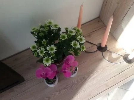 Jordanapartment Apartman Poreč